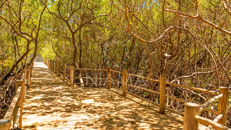 aluguel temporada condominio vila altos de trancoso