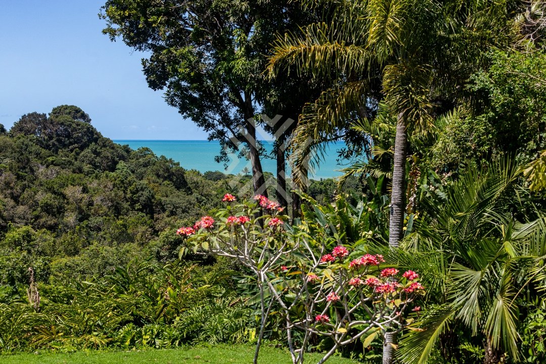 casa de luxo condominio pedro grande trancoso