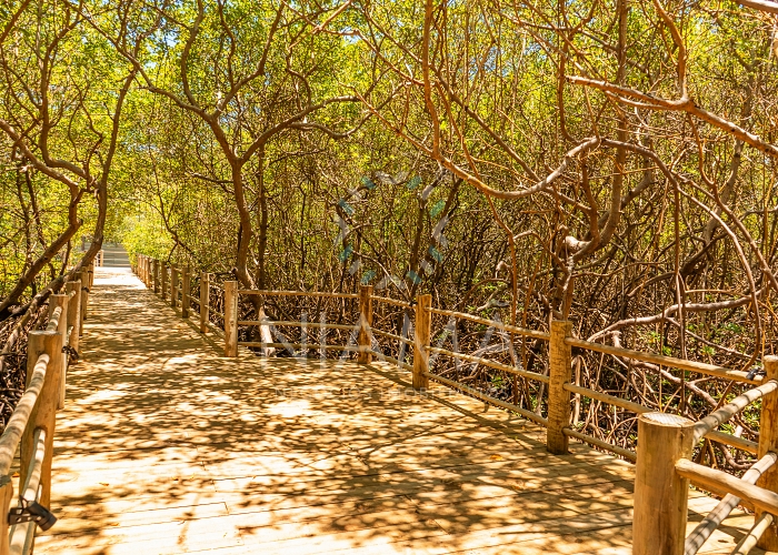 condominio pe na areia vila 18 altos de trancoso