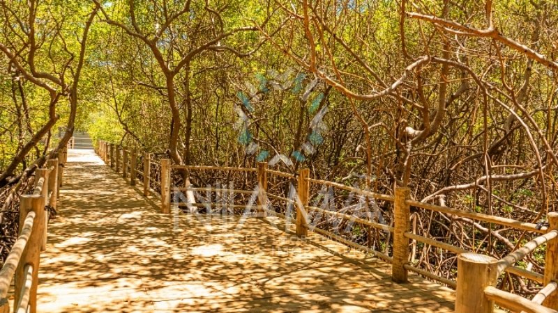 condominio vila 18 altos de trancoso casas