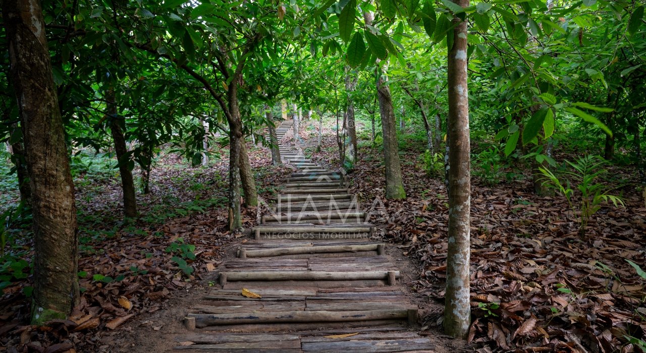 casa de luxo em altos de itapororoca em trancoso bahia