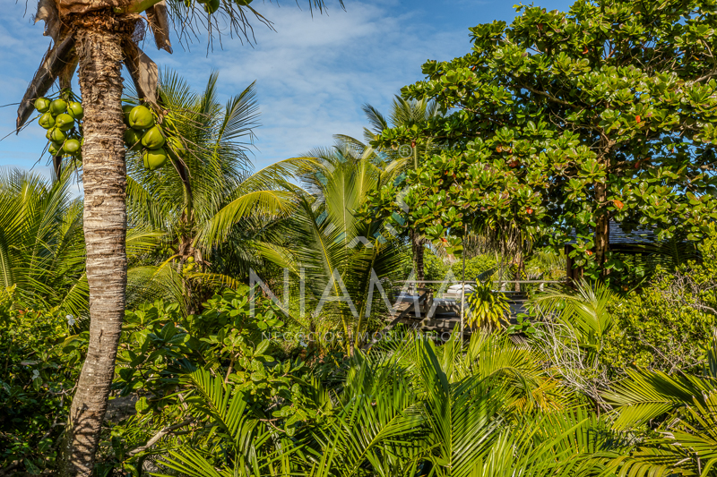 itapororoca casas de luxo para alugar em trancoso